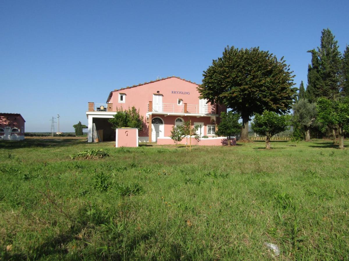 Podere Ricciolino Castagneto Carducci Exterior foto