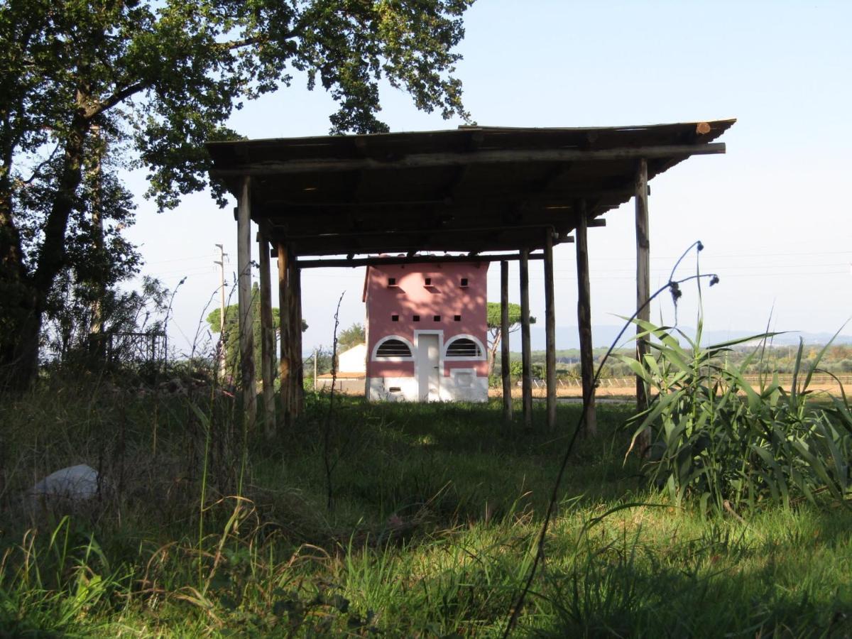 Podere Ricciolino Castagneto Carducci Exterior foto