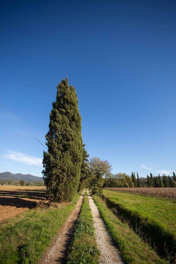 Podere Ricciolino Castagneto Carducci Exterior foto